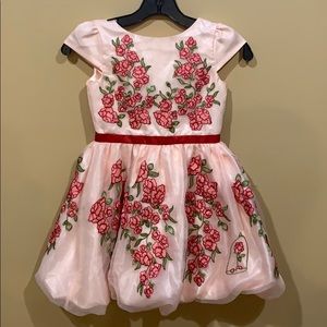 Disney princess Belle dress